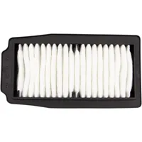 Hiflofiltro Luftfilter HFA3202