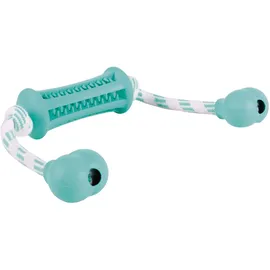 Trixie Denta Fun Stick mit Seil 9 cm Grün