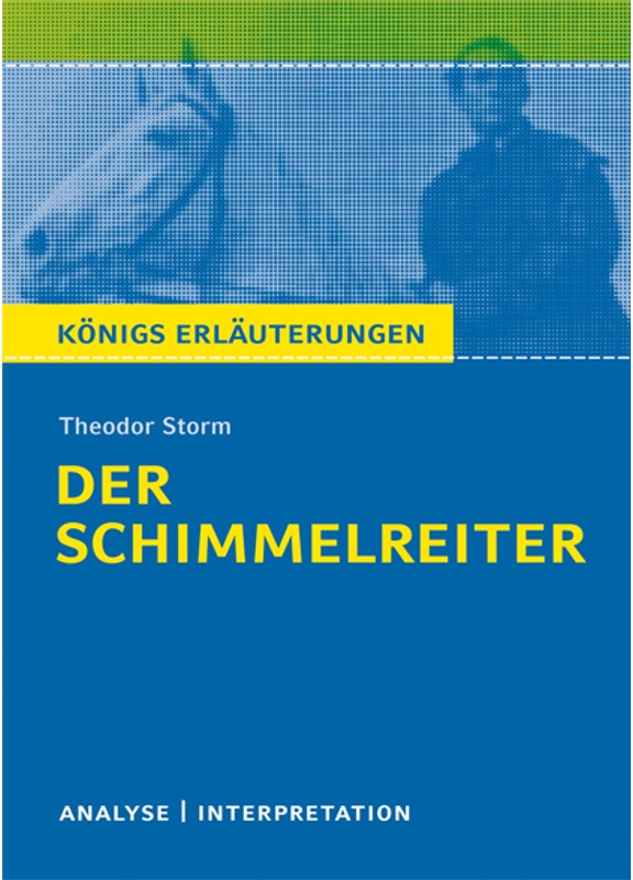 Der Schimmelreiter Von Theodor Storm - Theodor Storm, Taschenbuch