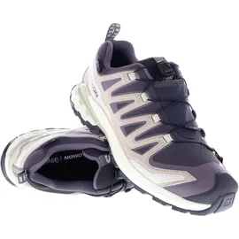 Salomon XA Pro 3D V9 GTX Schuhe (Größe 40.5 - grau)