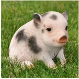 dazikemo Dekofigur Gartenfigur Schwein / Ferkel