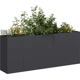 vidaXL Pflanzkübel 200 x 40 x 80 cm kaltgewalzter Stahl Schwarz