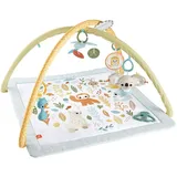 Mattel Fisher-Price Simply Senses Newborn Gym