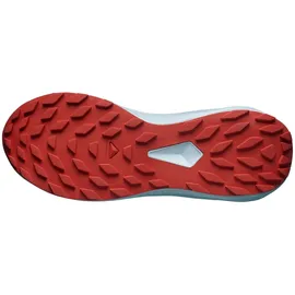 Salomon Alphaglide Herren Blau 48