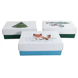 3 BUNTBOX Weihnachten M Geschenkboxen-Set weiß
