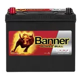 Banner Power Bull P4524