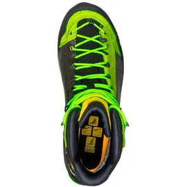 Salewa Crow GTX Herren cactus/sulphur spring 39