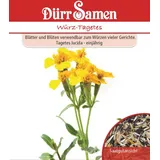 Dürr-Samen Würztagetes Saatgut