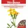 Dürr-Samen Würztagetes Saatgut