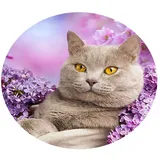 Morbuy Rund Tischdecke Elastisch, 3D Süße Katze Drucken Rund Tischdecken Wasserdicht Lotuseffekt Abwaschbar Abwischbar Tischtuch für Dekoration Küchentisch Garten Outdoor (90cm,Lilane Blumen)