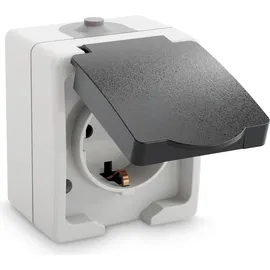 greate. Klappdeckelsteckdose 1-fach Grau