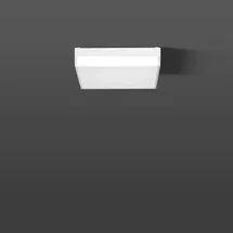 RZB LED-Wand u.Deckenleuchte 312667.002.19