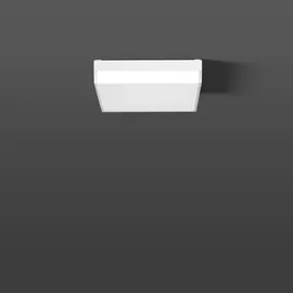 RZB LED-Wand u.Deckenleuchte 312667.002.19