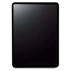 Apple iPad Pro 11" (4. Generation 2022) 512 GB Wi-Fi space grau