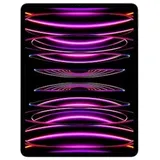 512 GB Wi-Fi + Cellular space grau