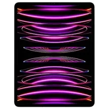 Apple iPad Pro 12,9" (6. Generation 2022) 512 GB Wi-Fi + Cellular space grau