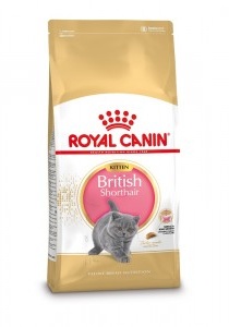 Royal Canin Kitten British Shorthair kattenvoer  2 x 10 kg
