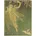 Fairy Fairy Lined Softcover Softcover