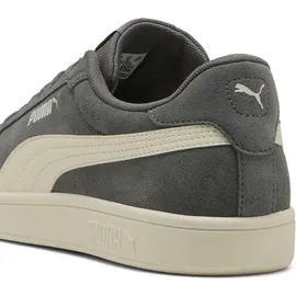 Puma Smash 3.0 Herren Cool Dark Gray/Warm White 42,5