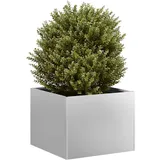 vidaXL Pflanzgefäß 40 x 40 x 30 cm Silber