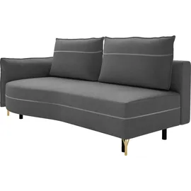 exxpo - sofa fashion Schlafcouch 2-Sitzer Silber