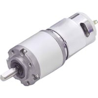 DRIVE SYSTEM EUROPE BY MSW Gleichstrom-Getriebemotor DSMP320-12-0189-BF 024305 12