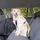 Trixie Hundegeschirr Schwarz XS