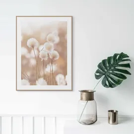 Reinders! Bild Cotton Pops", (BHT 30x40x1.60 cm) - bunt - BHT 30x40x1.60 cm