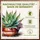 GREEN HOME LOVE NATURE Kakteenerde 72 l