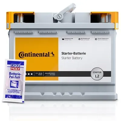 Continental Starterbatterie L1 55Ah 540A + 10g Batterie-Pol-Fett [Hersteller-Nr. 2800012019280] für Abarth, Alfa Romeo, Audi, Autobianchi, BMW, Chevro