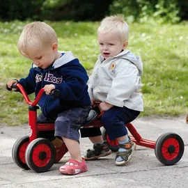 Winther Mini-Viking Rutsch Dreirad für zwei (8600432)