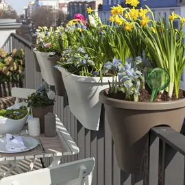 Relaxdays Bewässerungskugel 2er Set Ø 9 cm blau