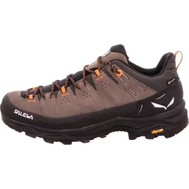 Salewa Alp Trainer 2 GTX Herren Bungee Cord/Black 46