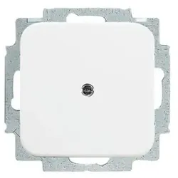 Busch-Jaeger 2538-214 Blindzentralscheibe mit Tragring Reflex SI/SI Linear 2CKA001715A0275 2538214