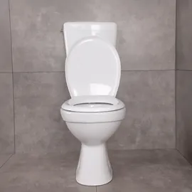 Belvit Dusch WC mit Bidet Funktion mit WC-Sitz Weiß
