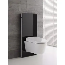Geberit Monolith für Wand-WC 101 cm Glas Mint