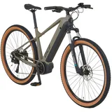 Prophete E-Bike MTB Dice 3.0 Grau-Schwarz Matt 29 Zoll