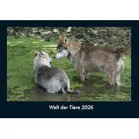 Vero Kalender Welt der Tiere 2026 Fotokalender DIN A4