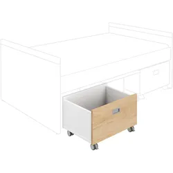 PAIDI Rollbox KIRA