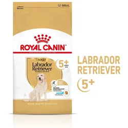 ROYAL CANIN Labrador +5 12kg