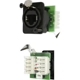 Neutrik NE8FDV-YK-B RJ45 Datensteckverbinder etherCon® D Serie NE8FDV-YK-B Buchse, gerade NE8FDV-YK-B Pole: 8P8C Schwarz 1 St.