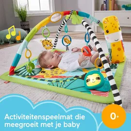 Fisher-Price Rainforest Spieldecke