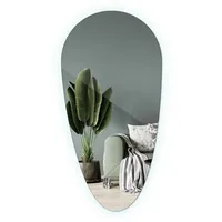 Tulup Led, Transparent, Glas, Organisch, 50x100x0.4 cm, Spiegel, Wandspiegel