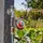 Gardena Bewässerungscomputer Easy Plus One Size schwarz/orange