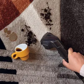 Ariete 2482/00 Teppichreinigungsmaschine Handgeführt Tief/dazwischen Schwarz