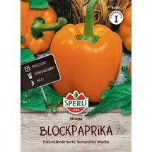 Sperli Paprika Milena F1 Gelb-Orange | Paprikasamen von Sperli-Samen