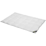 SPESSARTTRAUM Daunendecke Gold ultra leicht Sommerdecke Größe 155x220 cm)