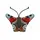 Wild Life Collection Wild Life Cat Peacock Butterfly mehrfarbig