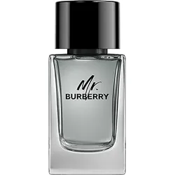 Burberry MR. BURBERRY Eau de Toilette 100ml