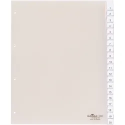 Durable Register 683319 245x297cm 20teilig Hartfolie transparent